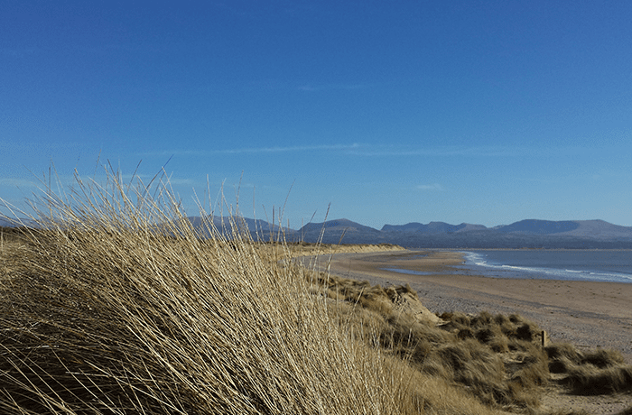 Beach view